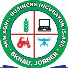 S-ABI logo